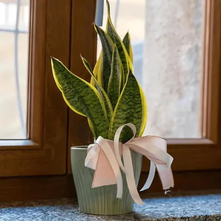 Penzion Dimora Del Chiostro Oristano